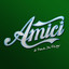 #Amici15 – 28 Novembre 2015 cover