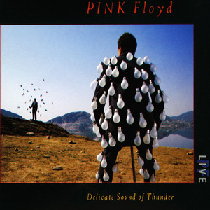 Delicate Sound of Thunder album