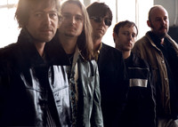 Fools Photo
