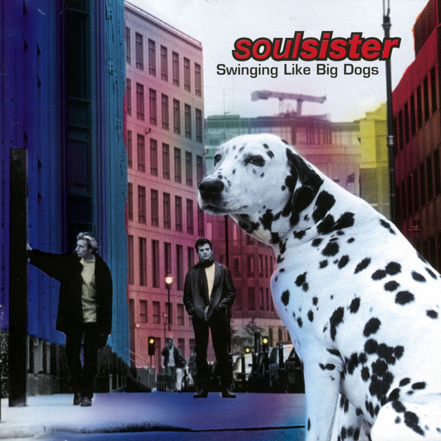 Swinging Like Big Dogs cover