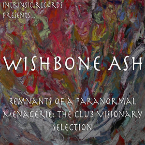Remnants Of A Paranormal Menagerie, The Club Visionary Selection album