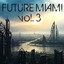Future Miami, Vol. 3 Albumcover