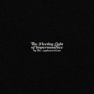 The Fleeting Light of Impermanence cover