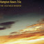 The Old Wild Shadow cover