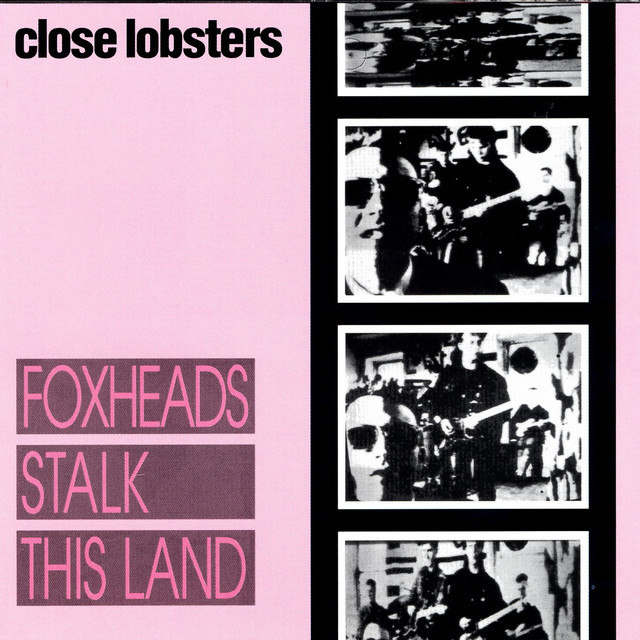 Foxheads Stalk This Land cover