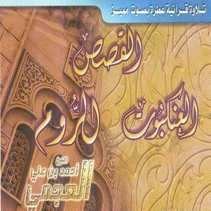 Ahmed Ben Ali Al Ajami
