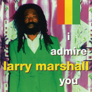I Admire You cover