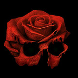 Dommin profile