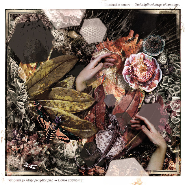 Illustration Sonore Photo