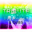 Tribute to Bob Marley & Dubs cover