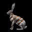 Jackrabbit cover