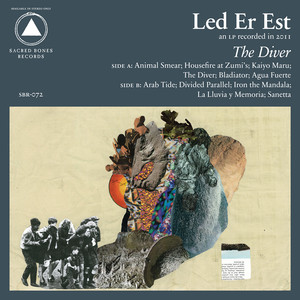 The Diver cover