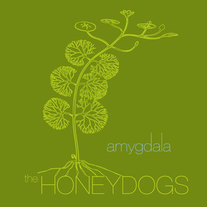 Amygdala album