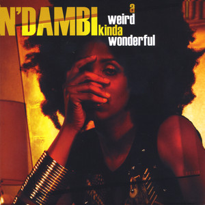 A Weird Kinda Wonderful cover