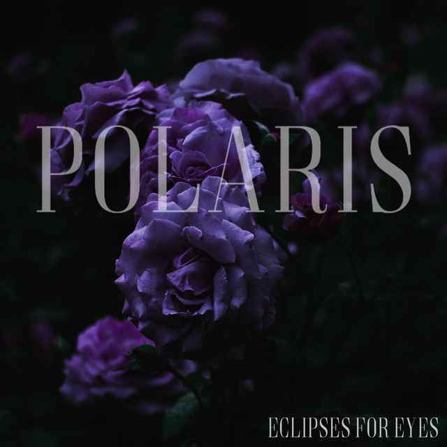Eclipses for Eyes Photo