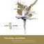 New Ballet Music 7 - 