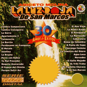 30 Anos de Exitos cover