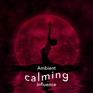 Ambient: Calming Influence album