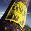 Live cover
