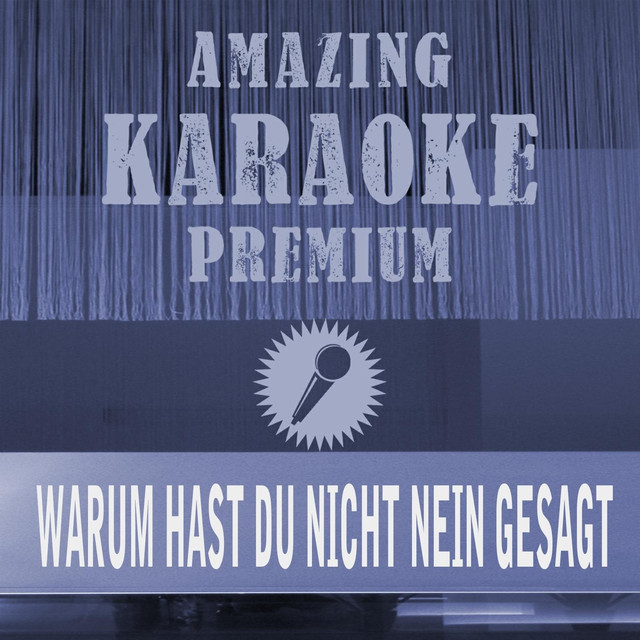 Warum Hast Du Nicht Nein Gesagt Karaoke