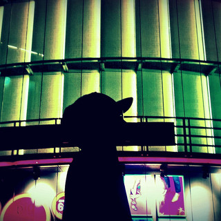 Igness Photo