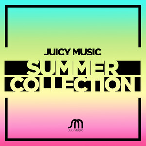 Robbie Rivera presents Juicy Music Summer Collection album