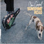 Sunshine Road Albumcover
