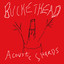Acoustic Shards cover