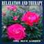 Relaxation and Therapy Albumcover