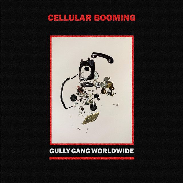 Gully Gang Photo