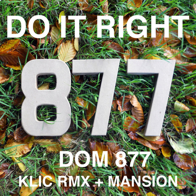 Dom 877 Photo