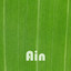 Ain Albumcover