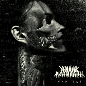 Vanitas cover