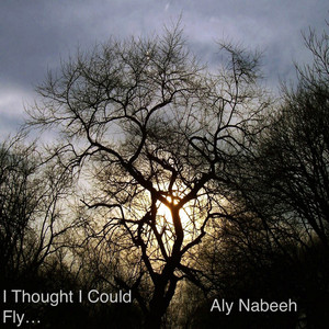 Aly Nabeeh