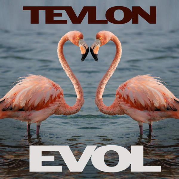 Tevlon Photo
