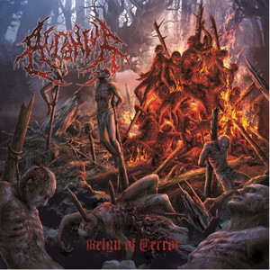 Reign of Terror cover