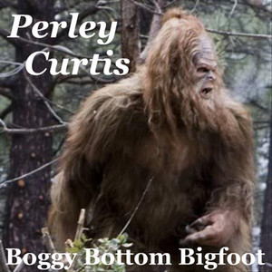 Perley Curtis