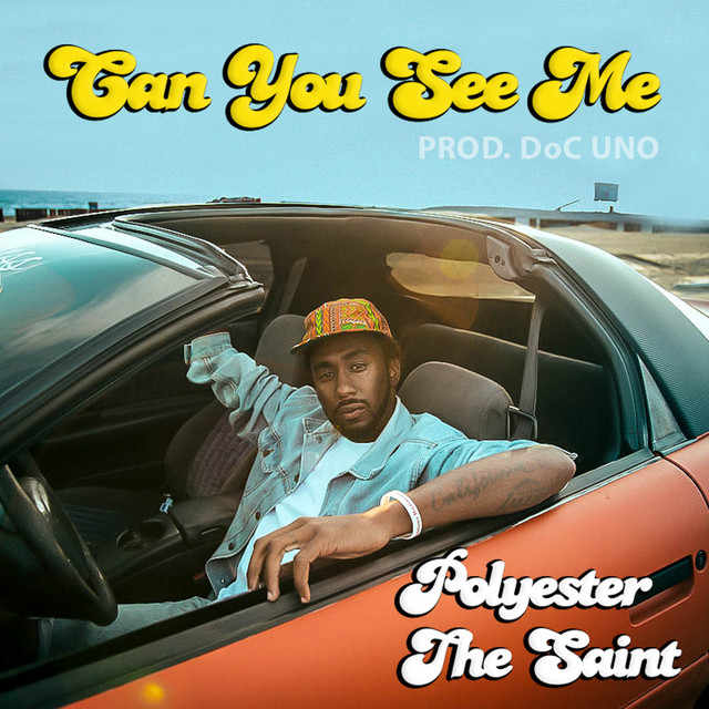 Can You See Me - Single