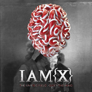 The Unified Field album