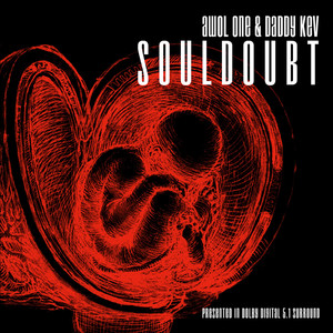 Souldoubt cover