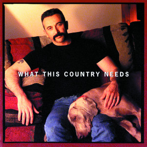 What This Country Needs cover