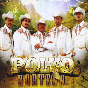 Polvo cover