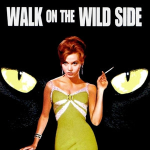 Walk on the Wild Side (Original Motion Picture Soundtrack) album