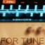 For Tune Albumcover