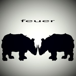 Feuer