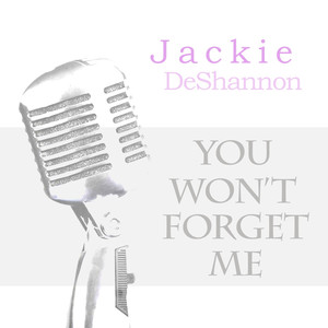 You Won't Forget Me cover