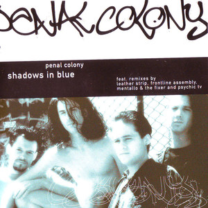 Shadows in Blue cover
