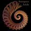 Resurgence Albumcover