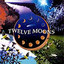 Twelve Moons Albumcover