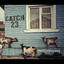 Catch 23 Albumcover